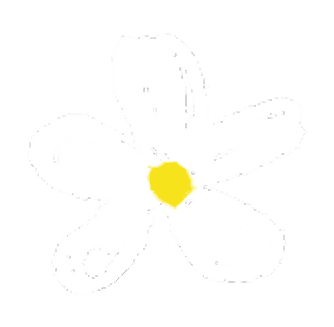 hero_flowers 5